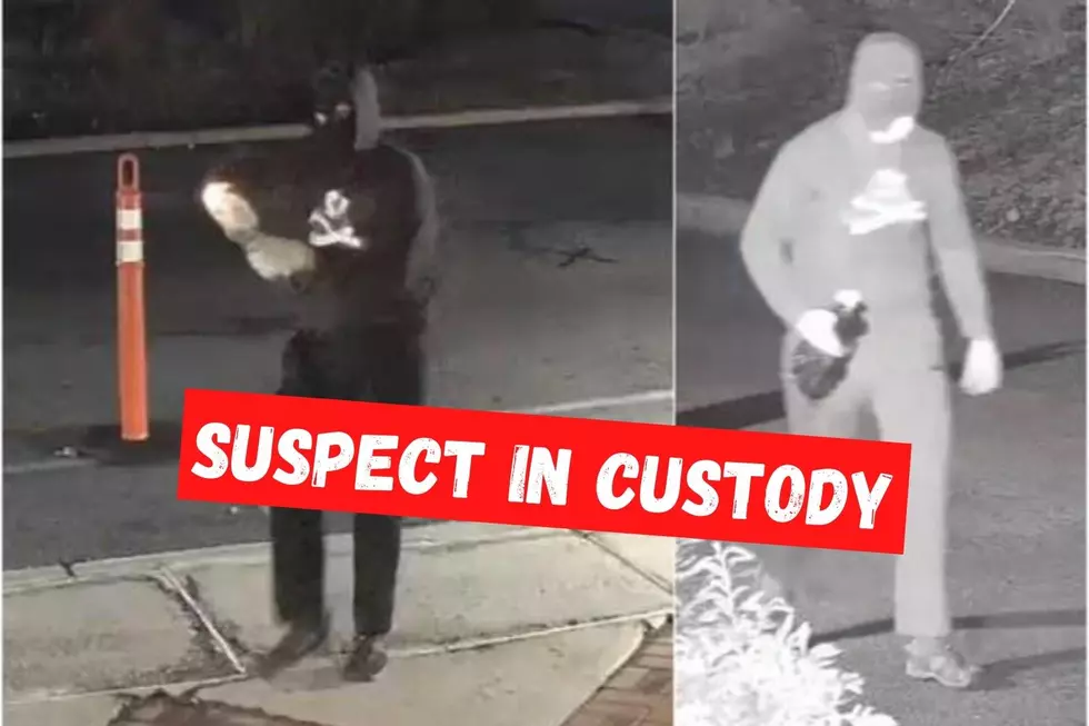 Suspect in Custody For Molotov Cocktail Hurled at Bloomfield, NJ, Temple