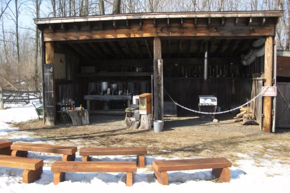 Learn how to make maple syrup all month long in Somerset County