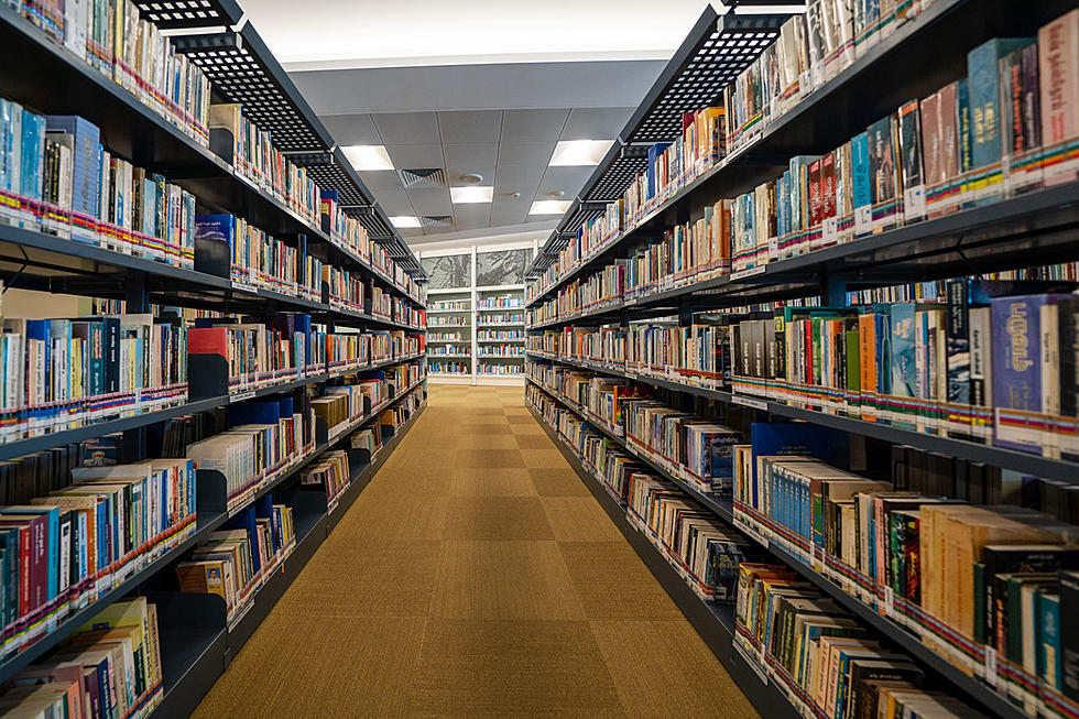 Hamilton school libraries remove favorite books but keep trash?
