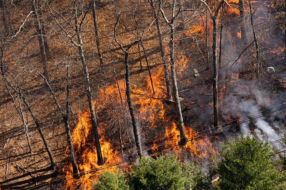 Stubborn wildfire in West Milford, NJ as more fires dot the state