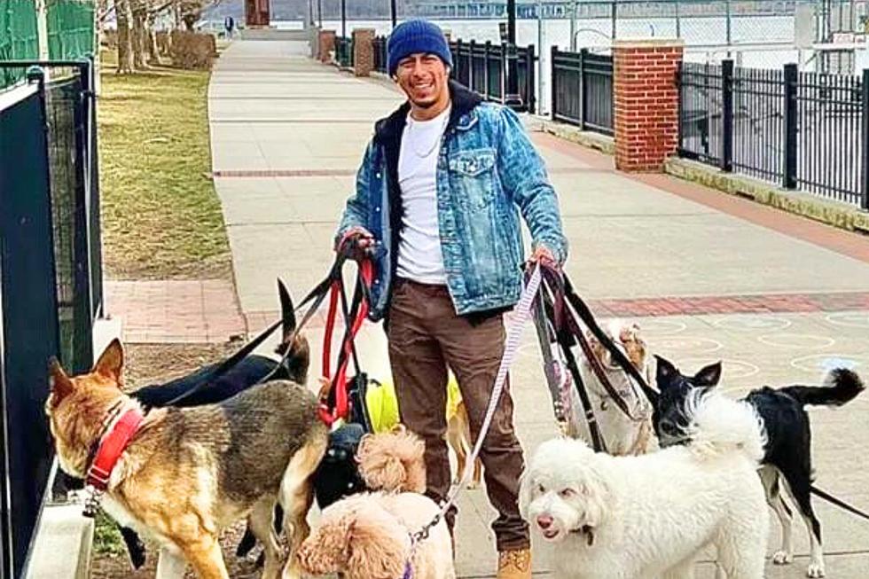 Beloved NJ dog walker killed in fatal hit-and-run, man charged