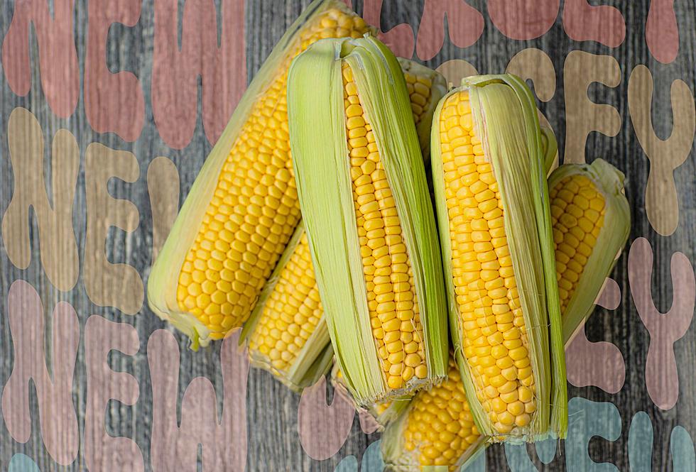 Ultimate Guide to Everything You Need to Know About NJ Corn