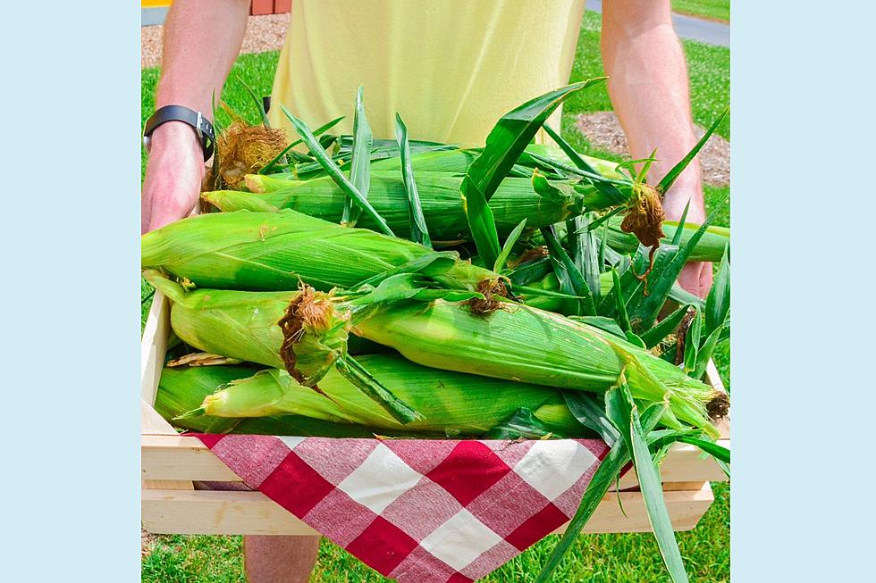 NJ’s sweet corn growing season has started out with a bang