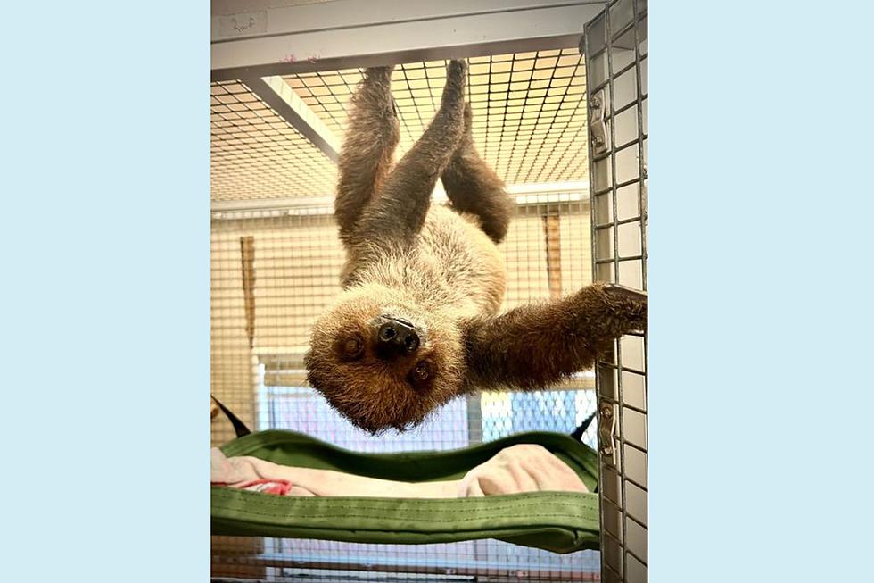NJ zoo mourns the sudden loss of one of their cute animals
