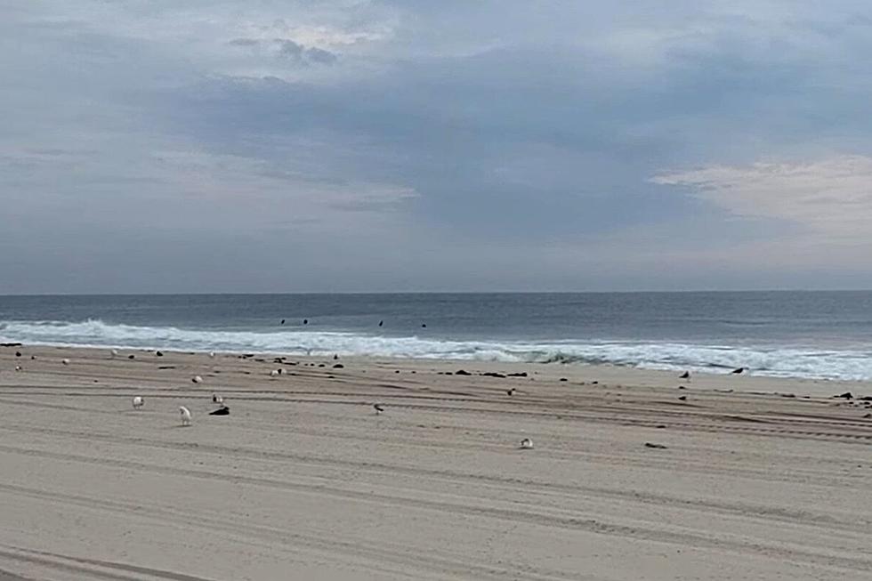 NJ beach weather and waves: Jersey Shore Report for Thu 8/31