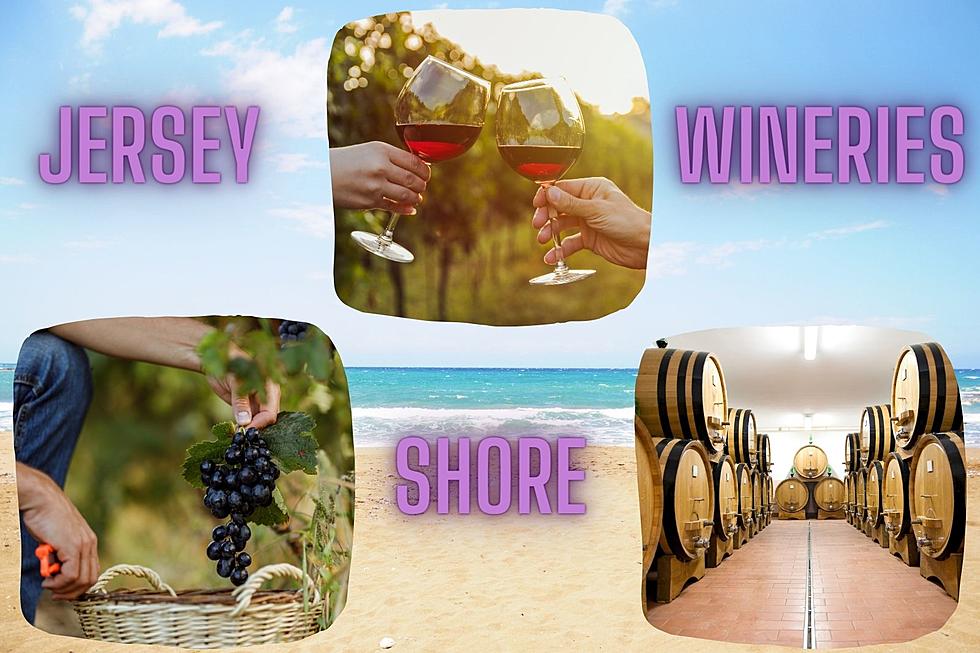 Wineries and winemaking throughout the Jersey Shore