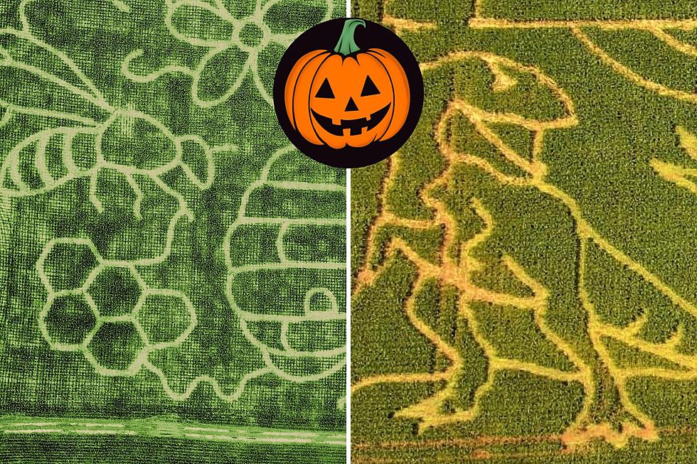 Best NJ corn mazes, pumpkin patches and hayrides 2023