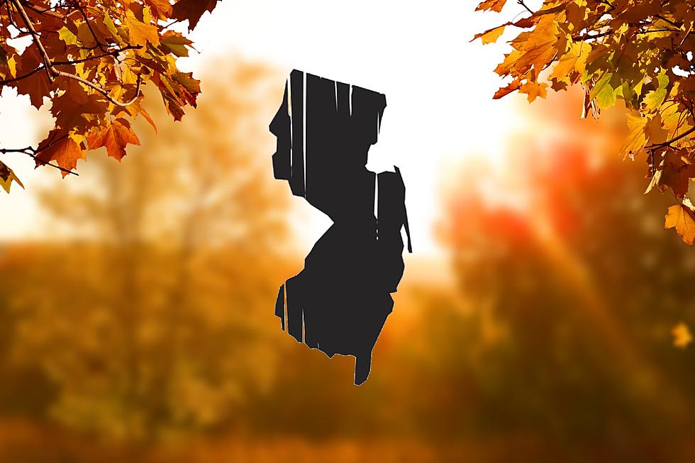 Likelihood of bright foliage in NJ after warm, wet start to fall