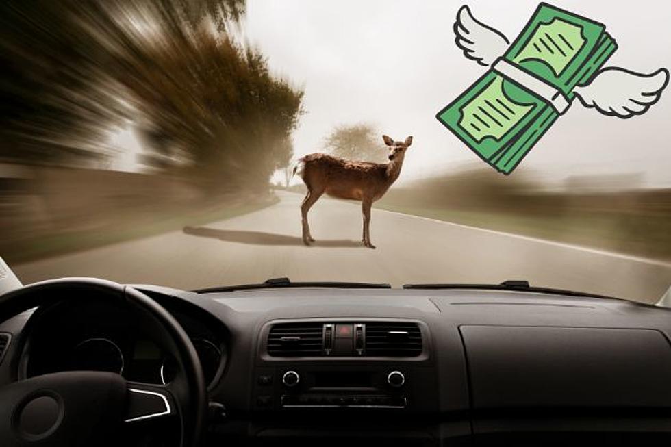 It's not your fault you hit a deer, but it can still cost you 