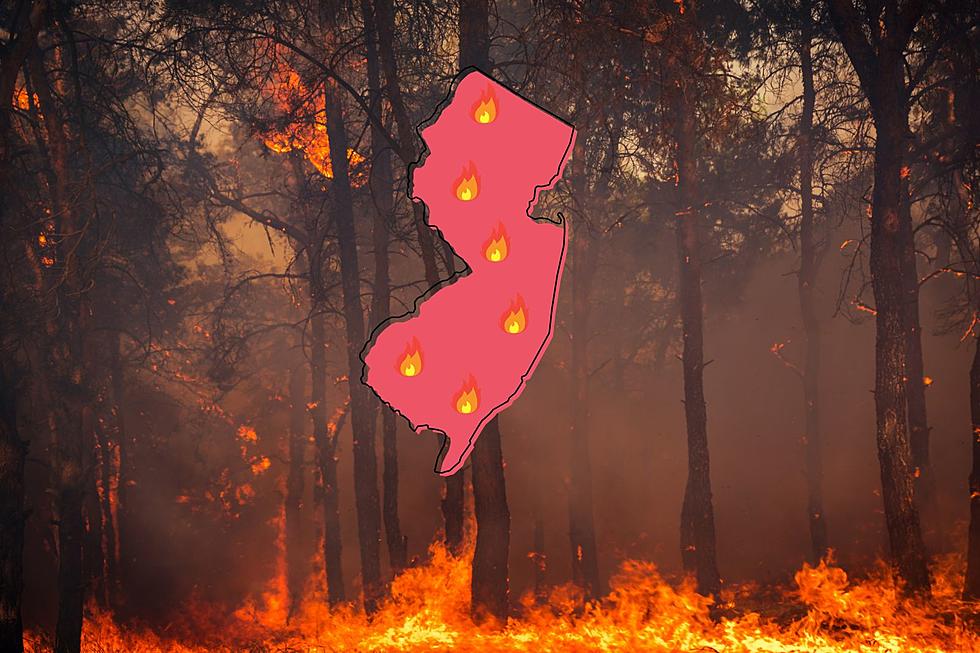 The biggest wildfires in New Jersey so far this year