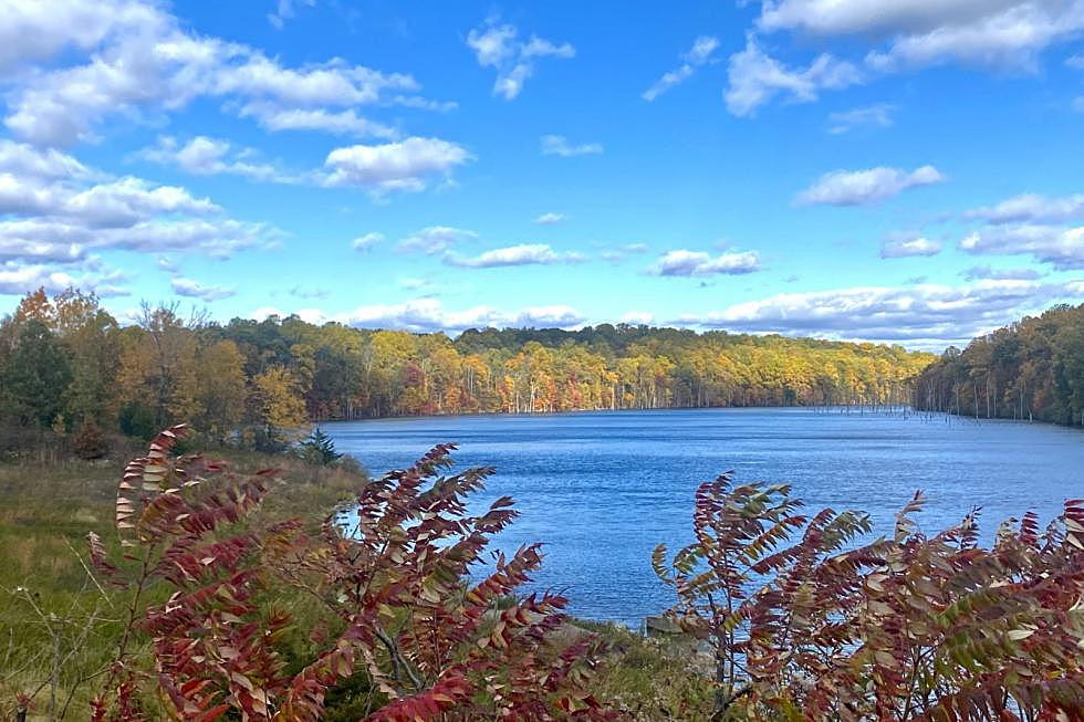 Stunning NJ spot to check out the fall foliage