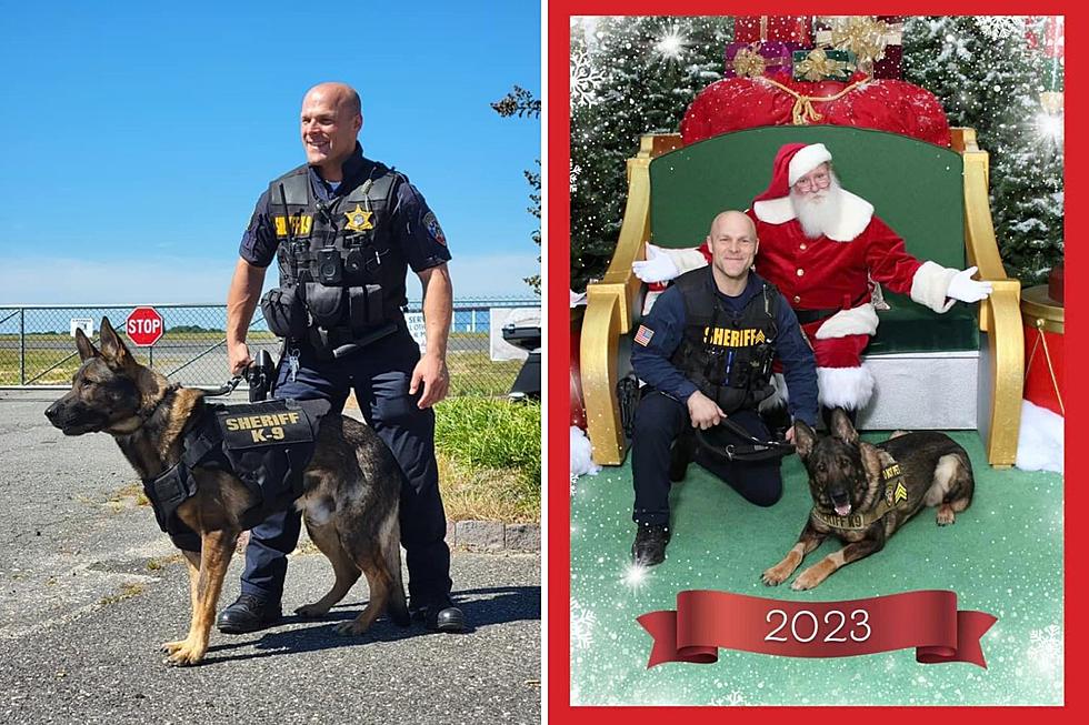 Monmouth County K-9 unit loses its third member this month