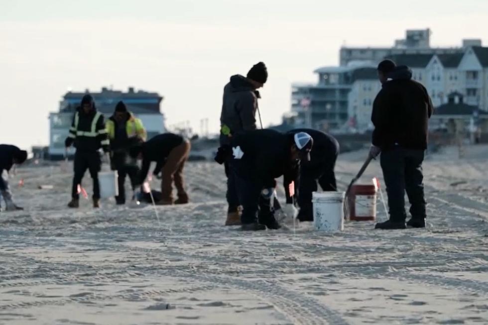 Beaches slimed by 1,000 pounds of gunk: Investigation continues in NJ, NYC