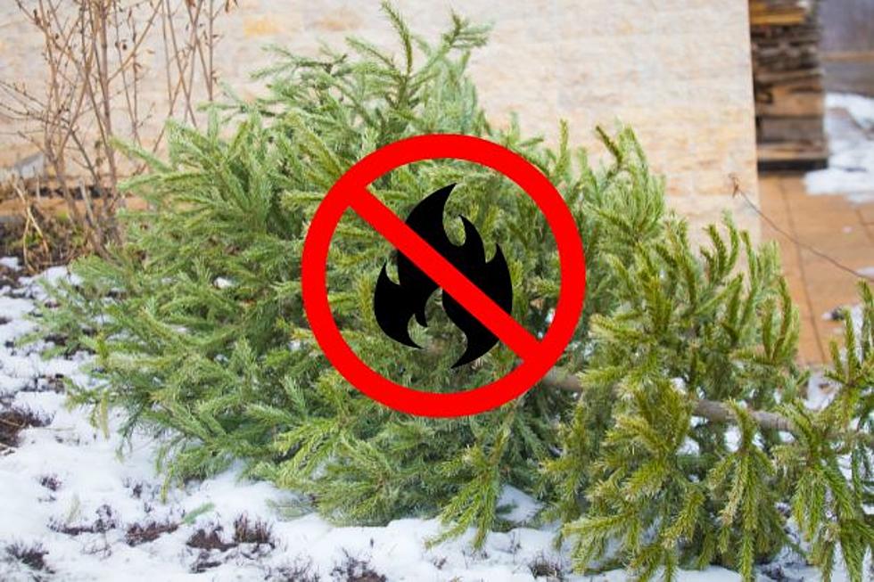 Was it a Grinch-like move? NJ gov says no to Christmas tree burns