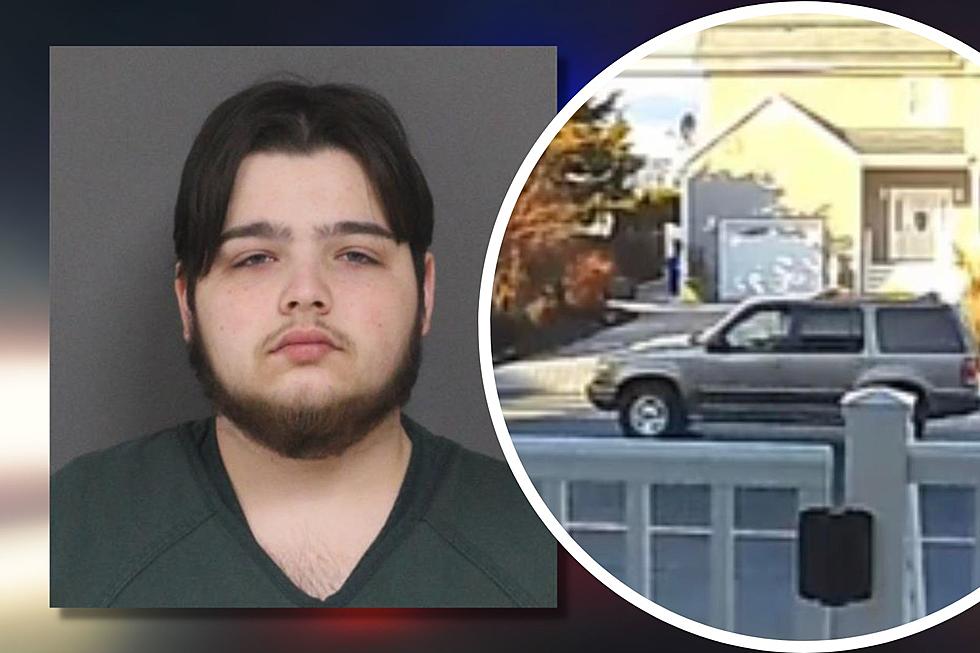Teen charged in deadly Brick, NJ hit-and-run
