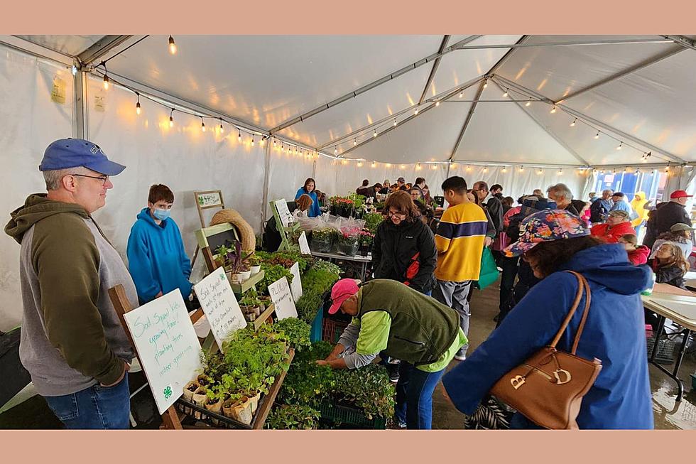 Popular NJ county farmers’ market happens sooner this year