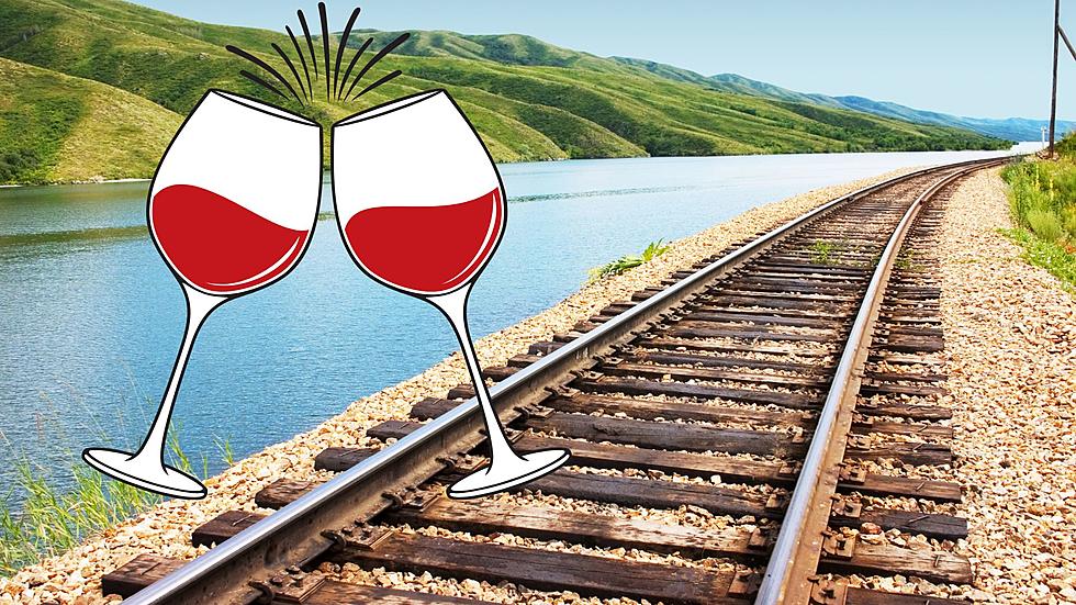 The Hunterdon County Wine Train Express is a great NJ experience