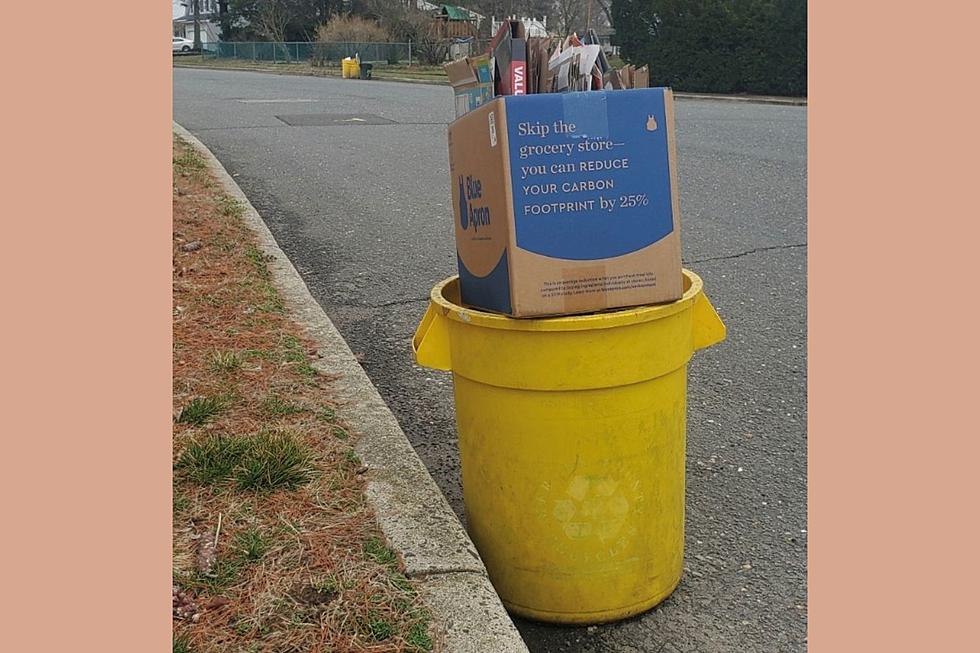 Free recycling buckets available again to residents of this NJ county