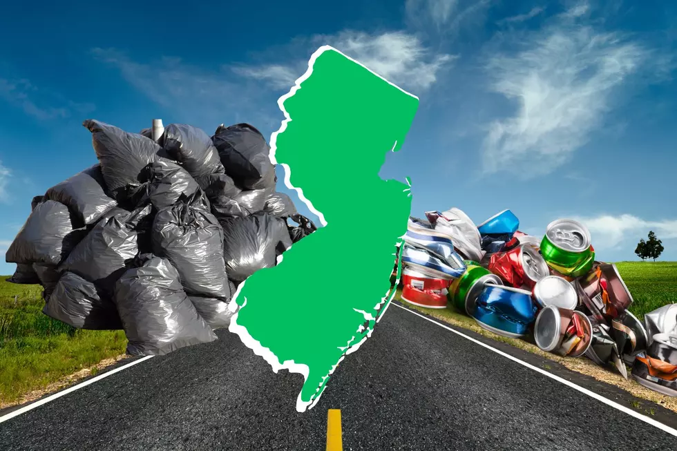 Spring cleaning: NJ begins highway trash removal