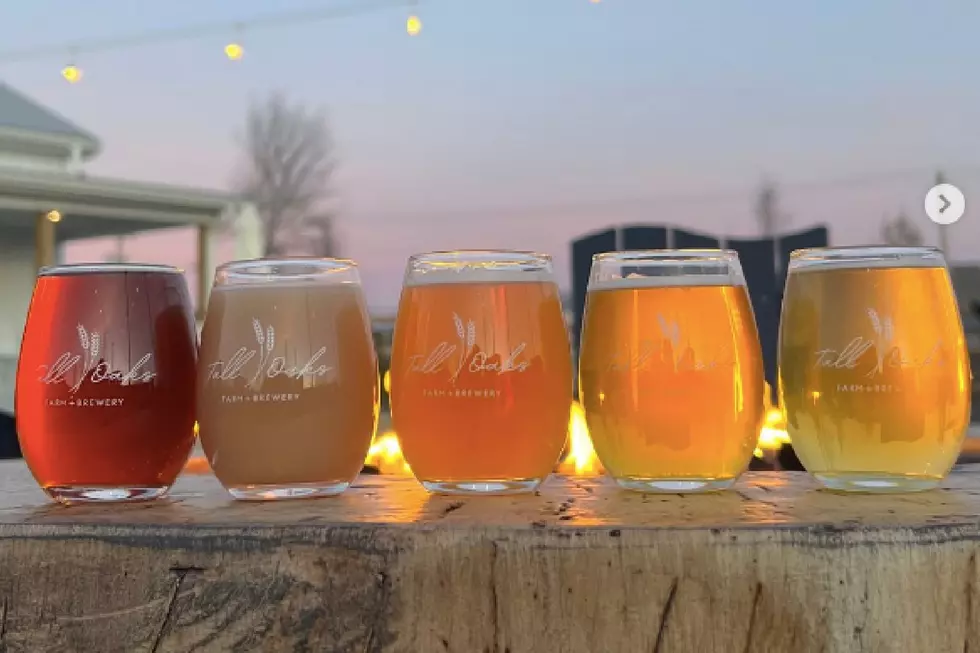 NJ beer lovers need to check out this new brewery in Farmingdale