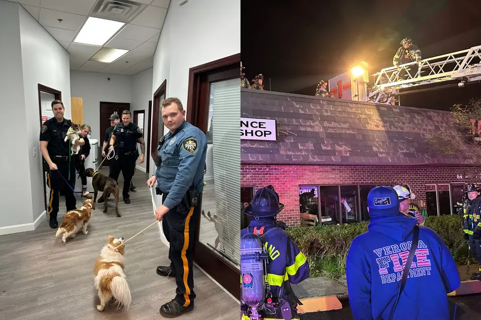 Fairfield, NJ police rescue 46 dogs from smoke-filled building