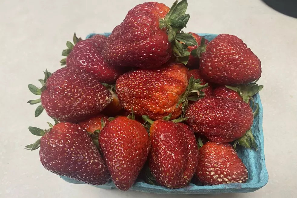 Jersey strawberries are here, but you have to know where to go