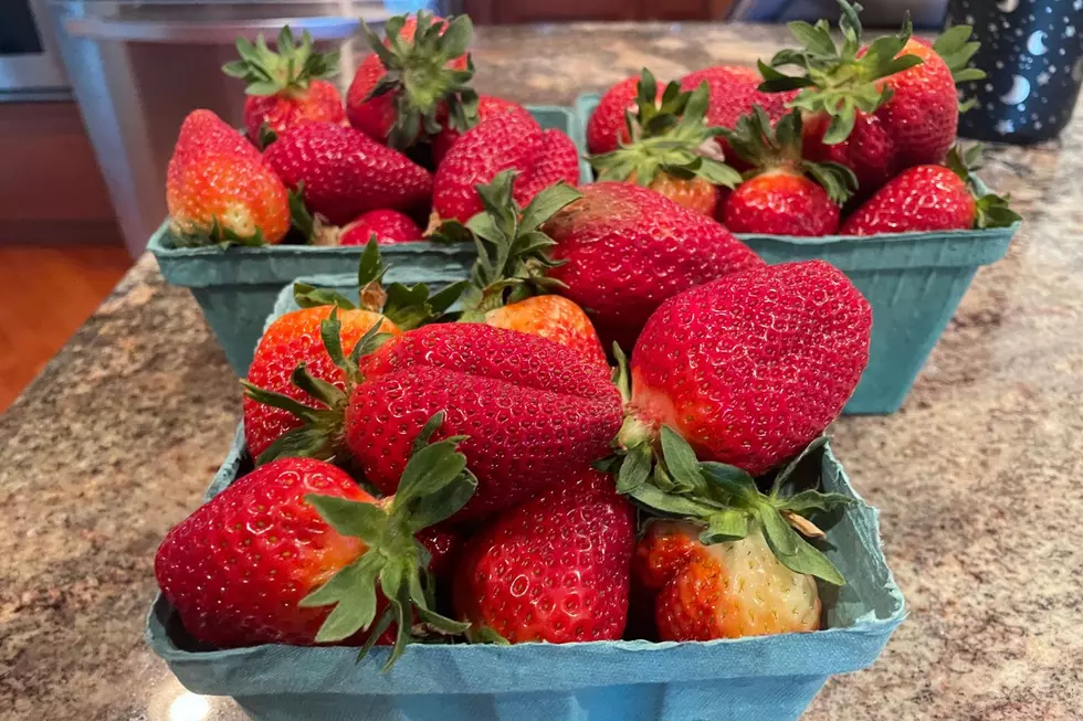 LOOK! Hand picked fresh New Jersey strawberries are here