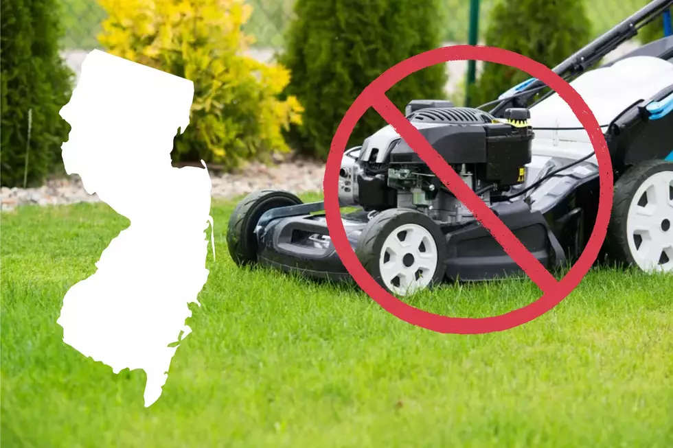 Why no mow May is pointless for some New Jersey lawns