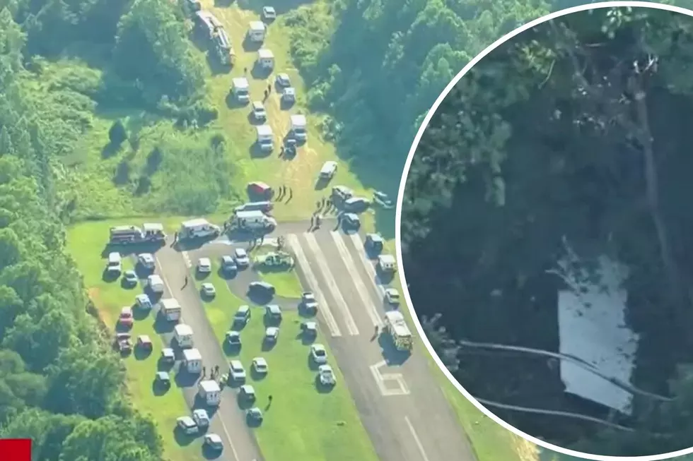 Miracle after plane with 15 people crashes into NJ woods with only some seriously injured