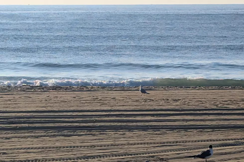 NJ beach weather & waves: Jersey Shore Report for Sunday, Aug. 17