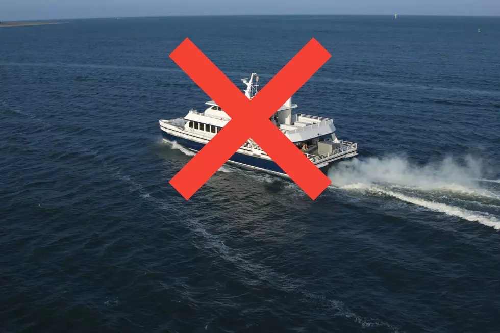 Inaccurate results about NJ ferry show why AI can’t be trusted