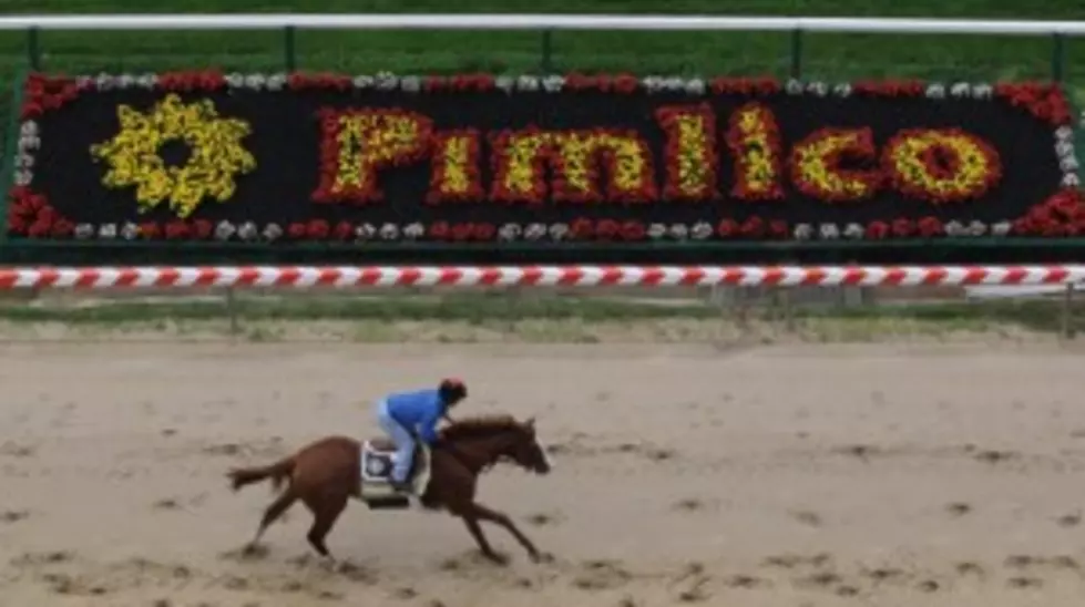 Preakness Stakes Today