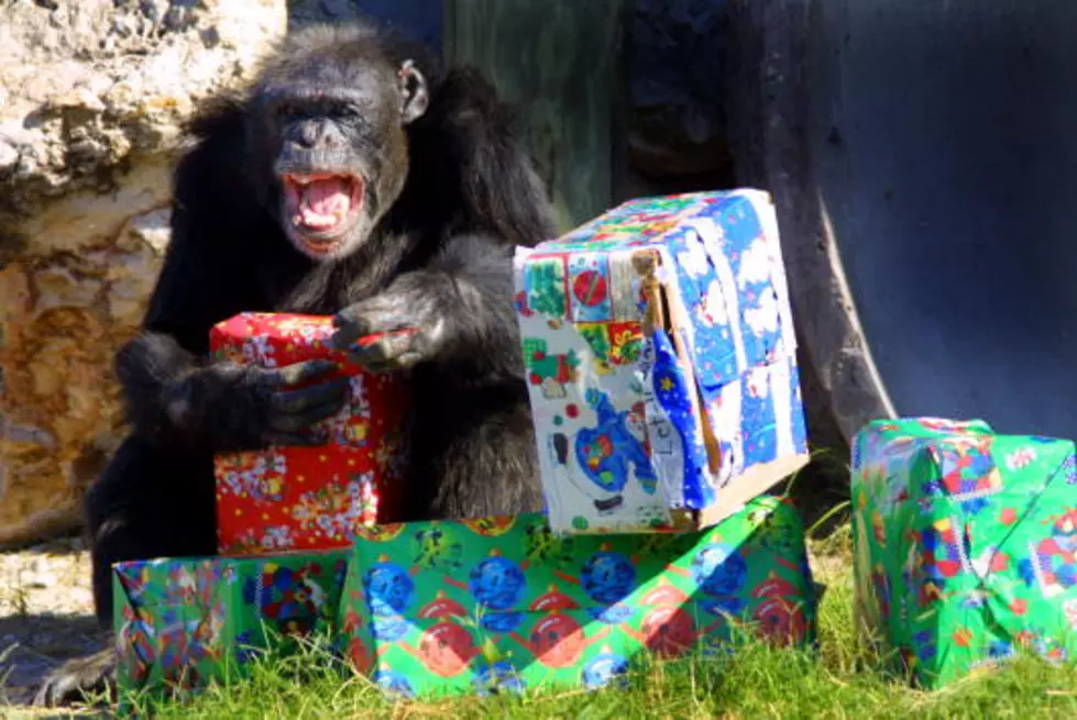 Don’t Monkey Around When Re-Gifting
