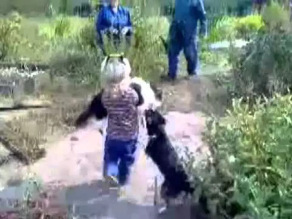 ‘Cute Kid’ of the Day Saves Cat