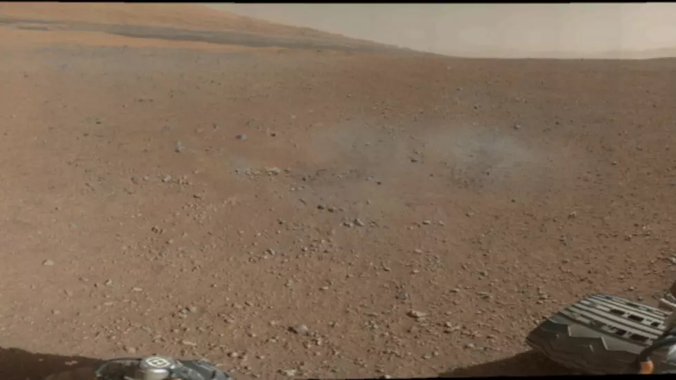 Mars Rover Discovers Flower?