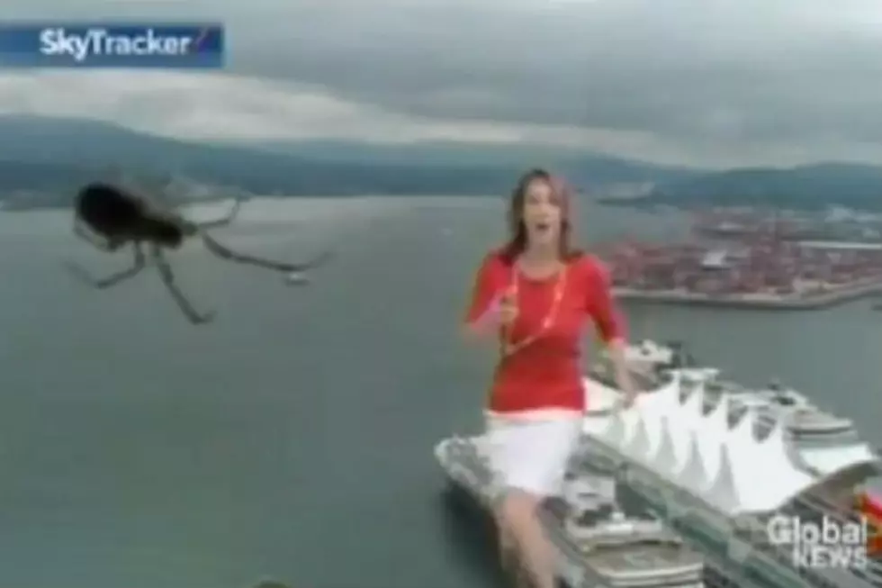 Spider Freaks Out TV Newscaster On Air [VIDEO]
