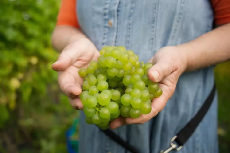 A Global Wine Shortage Coming? [VIDEO]