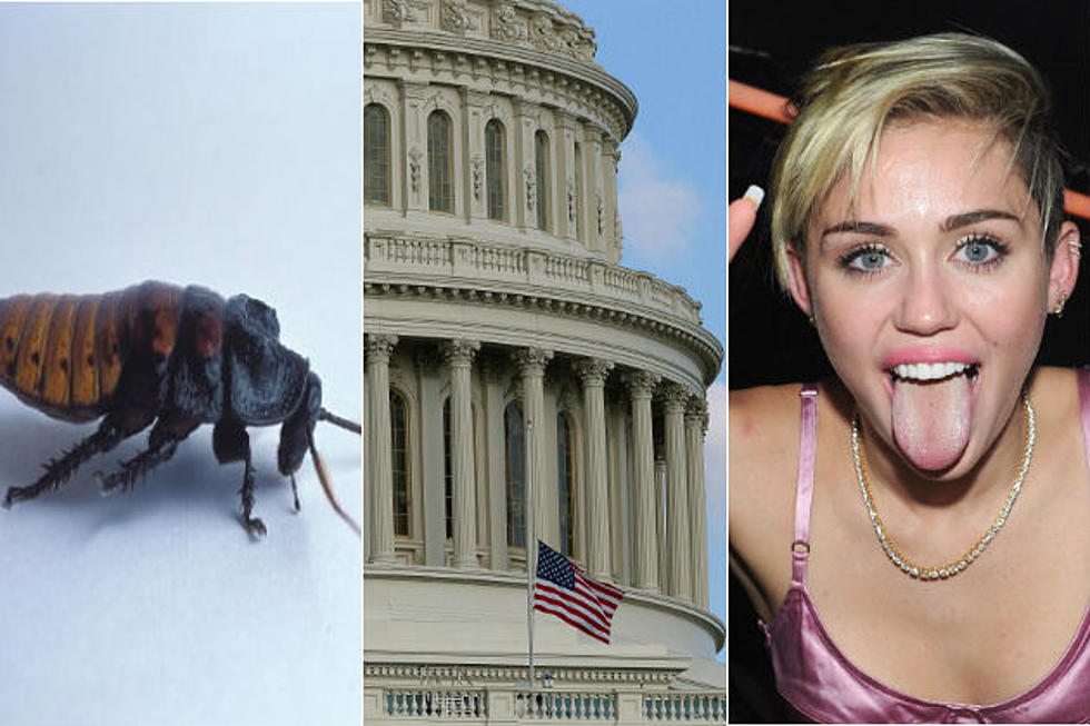 Congress Less Popular Than Cockroaches, More Popular Than Miley Cyrus