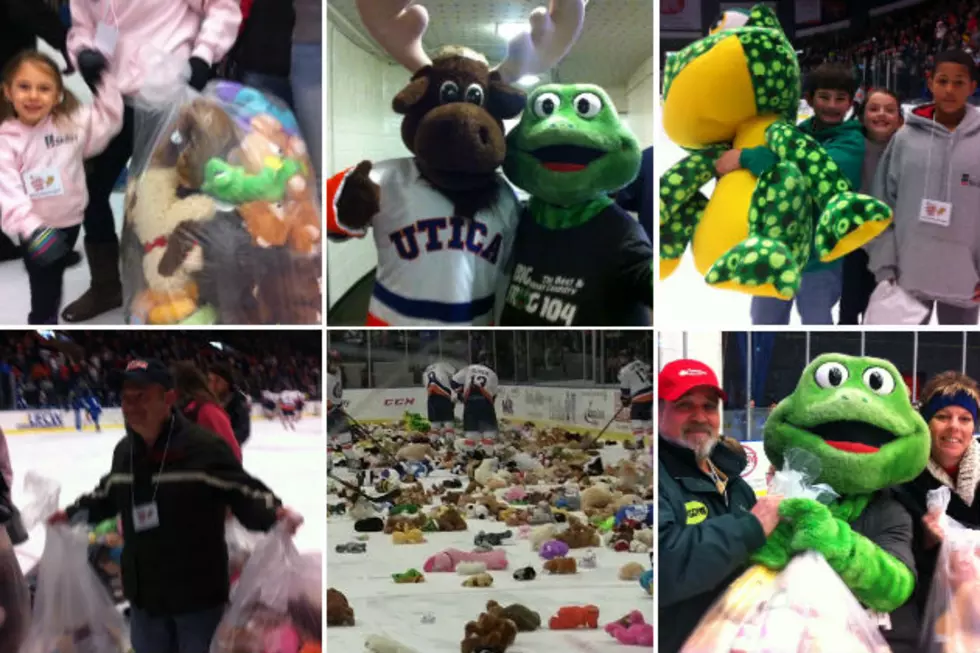 How Many Bears Were Collected at 2013 &#8216;Teddy Bear Toss&#8217; [PHOTOS &#038; VIDEO]