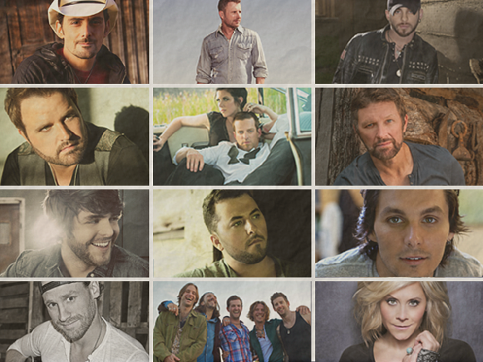 Nine Great Artists Added to 2014 Taste of Country Music Festival Lineup