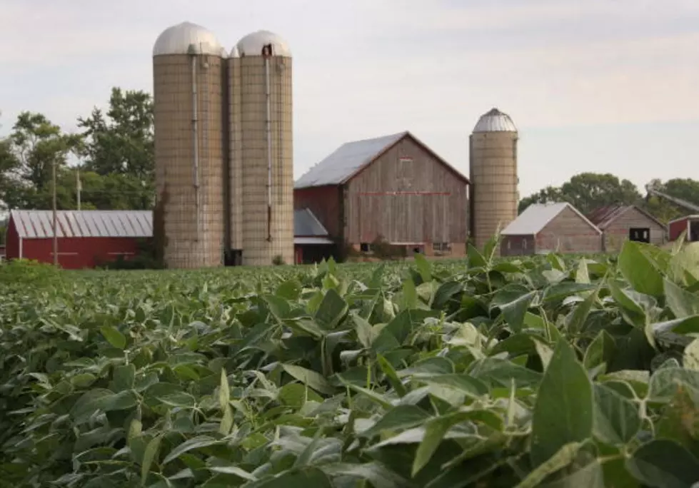 Madison County Leads The Way In New Farms – Ag Matters