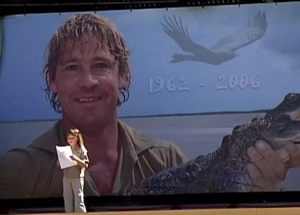 Bindi Irwin’s Special Tribute to Her Father Steve Irwin on ‘Dancing With the Stars’ Will Bring You to Tears [VIDEO]