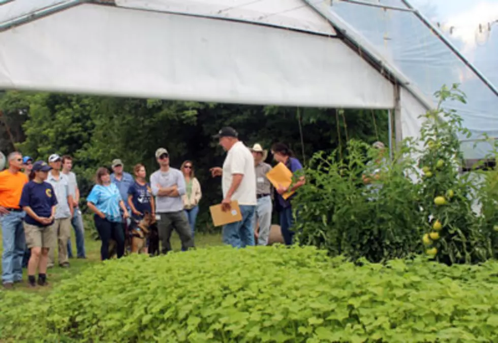 Free Help For New York Veterans Who Want To Start Farming &#8211; Ag Matters