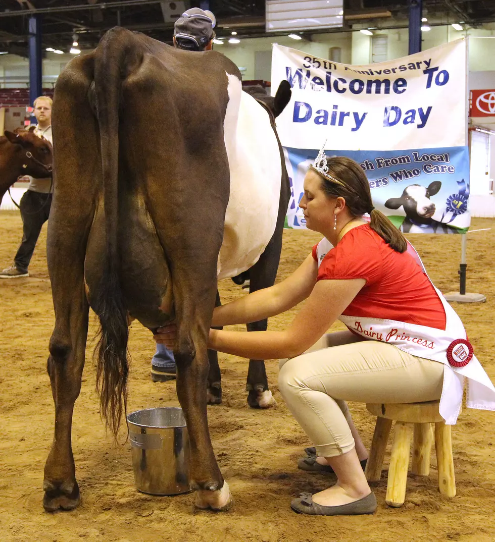 Only 60 Spots Available for Youth at Dairy Discovery Workshop