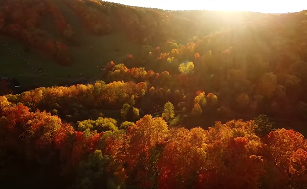 Check Out New York Fall Foliage From A Drone [SPONSORED CONTENT]