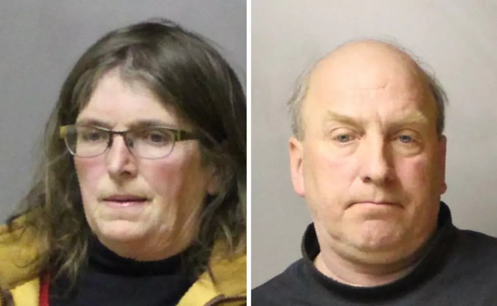 Watertown Couple Arrested On 136 Counts Of Animal Cruelty