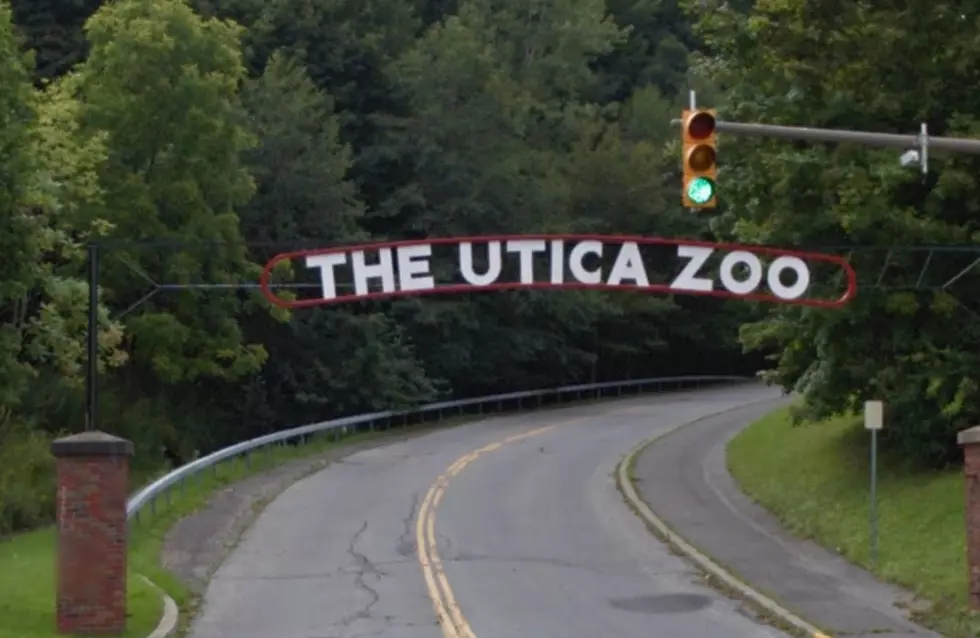 Dad's Get Into Utica Zoo for Free