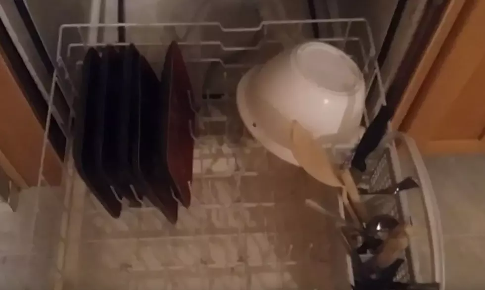 How Hard Is It to Put Dirty Dishes in the Dishwasher