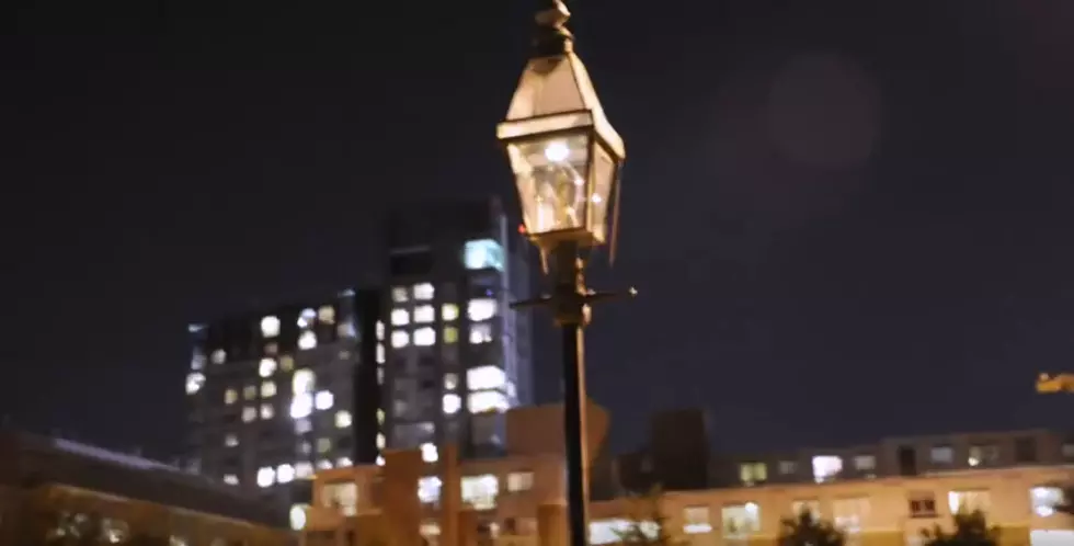 Dog-Poop Powered Street Lights Are A Thing 