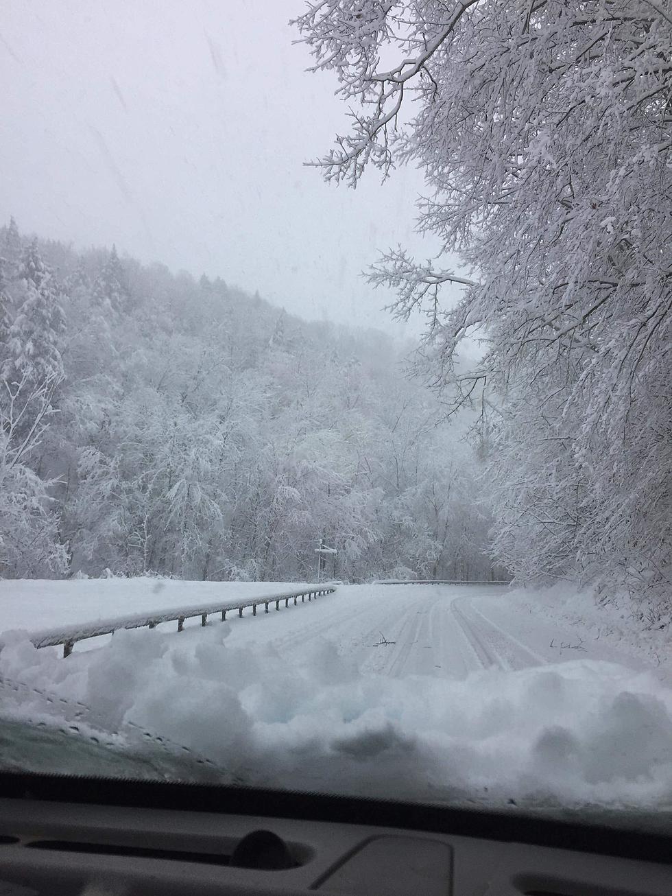 Here's What The Ilion Gorge Looks Like Under All This Snow